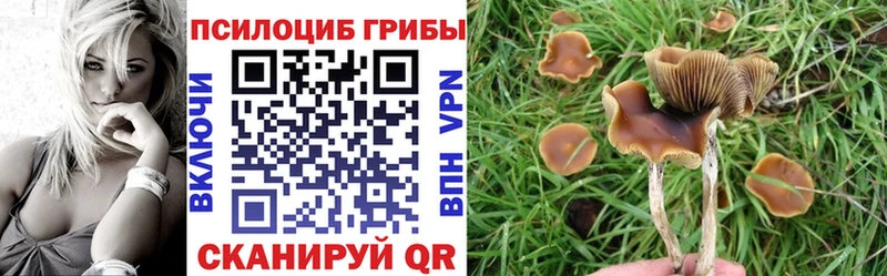 купить наркотик  Урень  Галлюциногенные грибы прущие грибы 